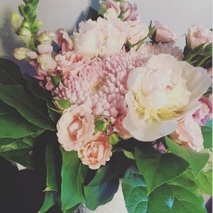 Meet your Posher, Tamara